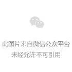 撕紙(zhǐ)分割線